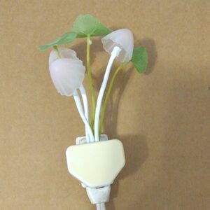 Must Bundle 3+ Items